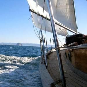 Meet your Posher, Judith lynn